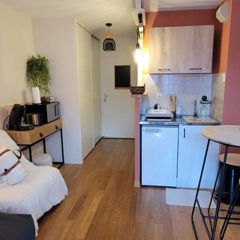 Appartement avec balcon vue montagne à Bellevaux - Studio - Vue sur Montagne - 3