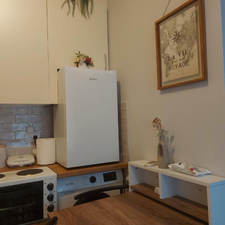 Centrocentro with balcony - Apartman sa 1 Spavaćom Sobom - 22