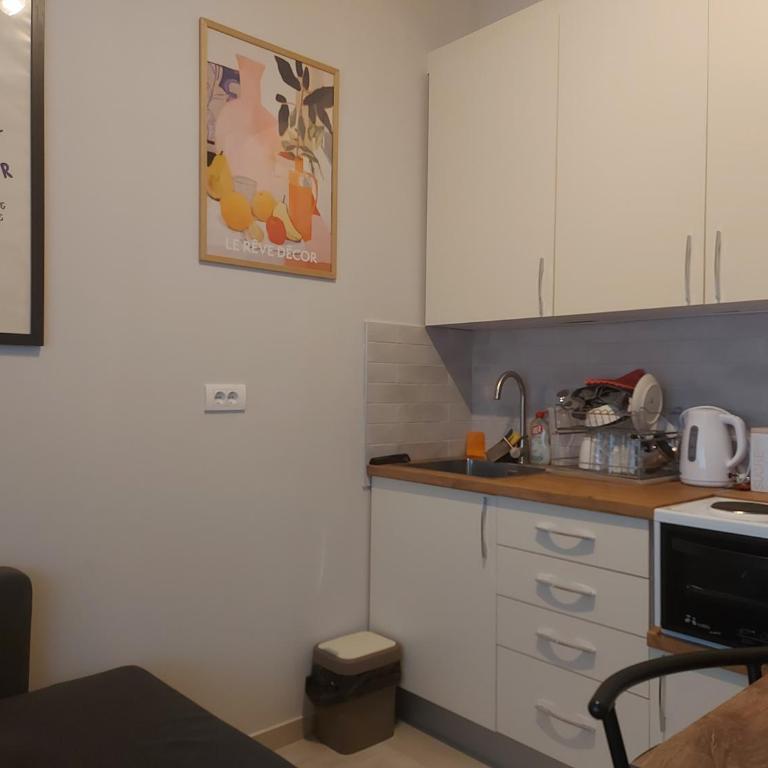 Centrocentro with balcony - Apartman sa 1 Spavaćom Sobom - 13