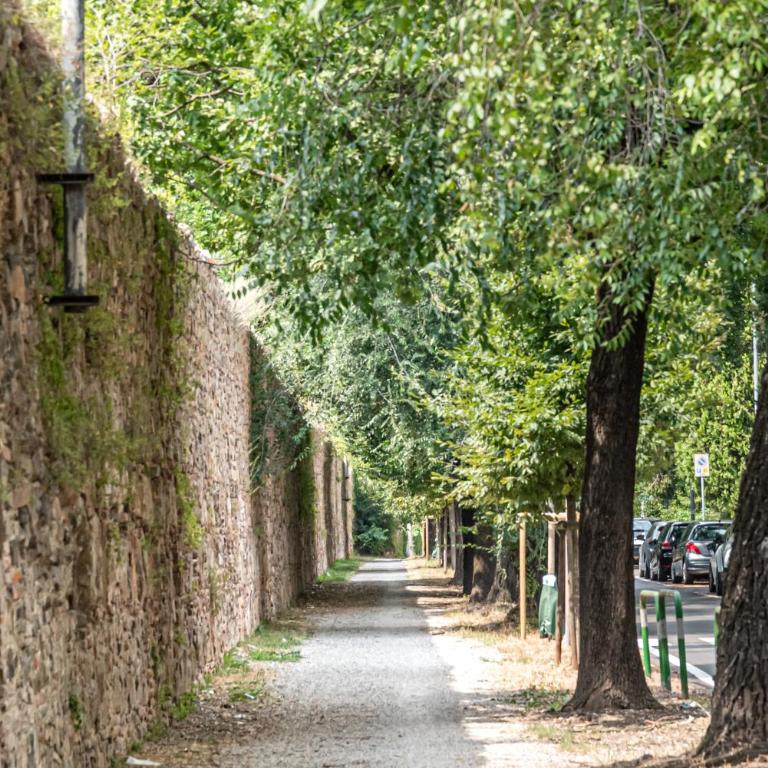 Elegant City-Center Apartment in Villa - Private Parking - Appartamento con 1 Camera da Letto - 31