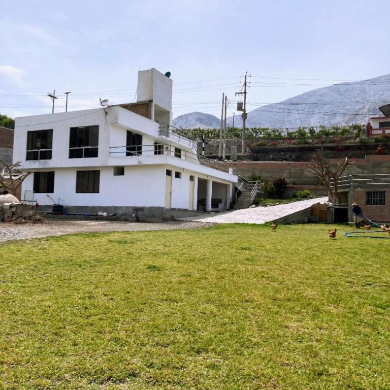 Viña J Felix - Apartment - 4