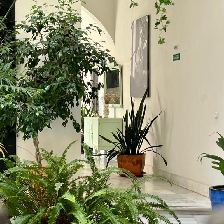 patio de luja centro parking y piscina - Apartamento de 1 dormitorio - 28