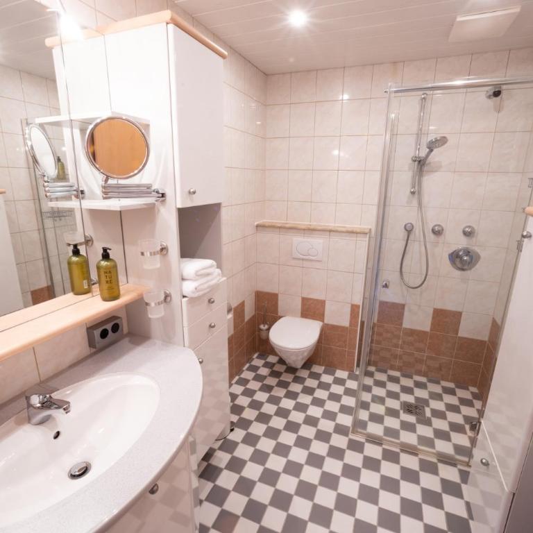 Apartments Hohenberger Mallnitz - Bahnhofsshuttle bei An- und Abreise inklusive - Studio - 4