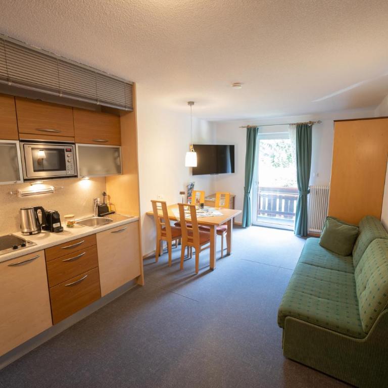 Apartments Hohenberger Mallnitz - Bahnhofsshuttle bei An- und Abreise inklusive - Studio mit Balkon - 1