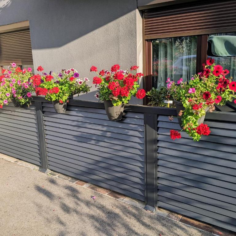 Apartmani Hrastik 1 - Apartment - 2