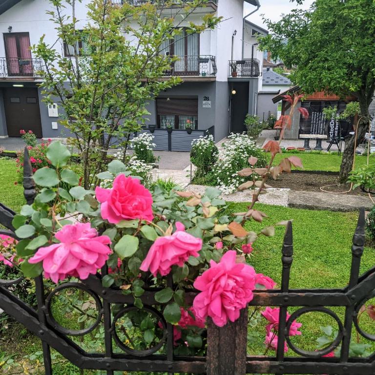 Apartmani Hrastik 1 - Apartment - 30