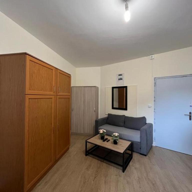 spacieux studio Paris Gambetta - Studio Lit King-Size - 5