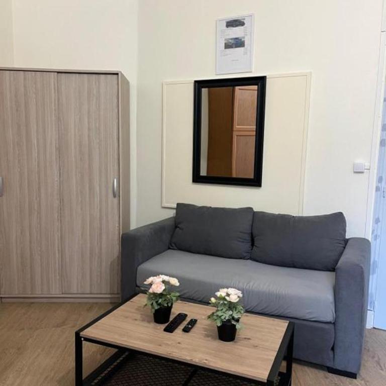spacieux studio Paris Gambetta - Studio Lit King-Size - 14
