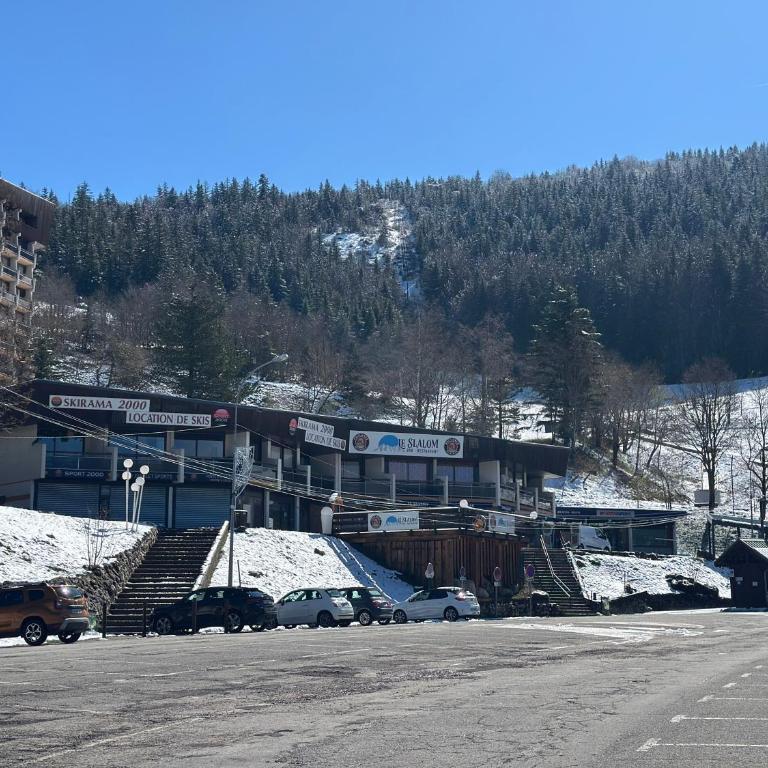 Le Chamois - Au pied des Pistes - Appartamento con 1 Camera da Letto - 61