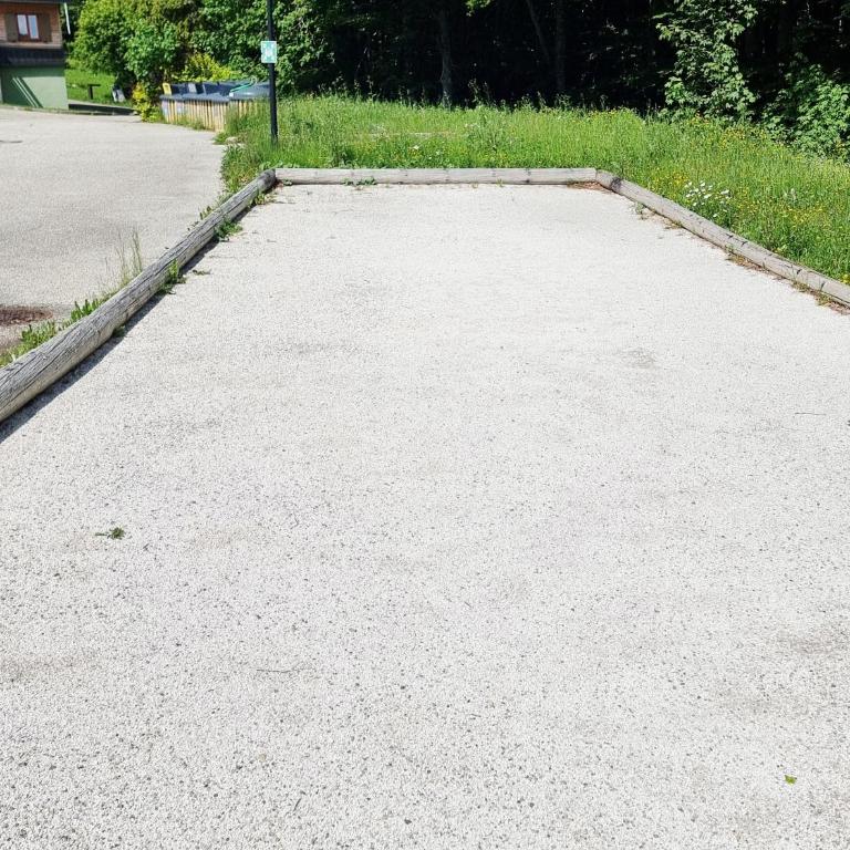 Le Nivelet - Duplex aux pieds des pistes toute l'année - Apartment mit 1 Schlafzimmer - 13