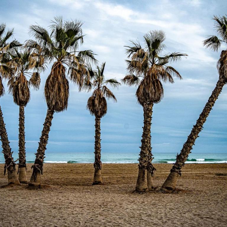 Piso Playa de Canet - Apartamento de 2 dormitorios - 13