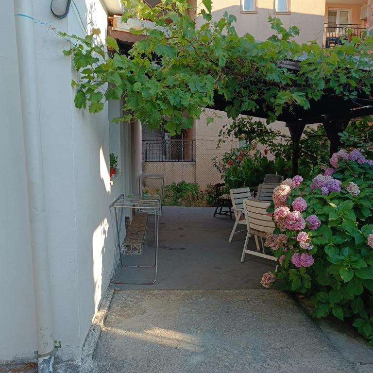 M6 olive tree studio - One-Bedroom Apartment - 3