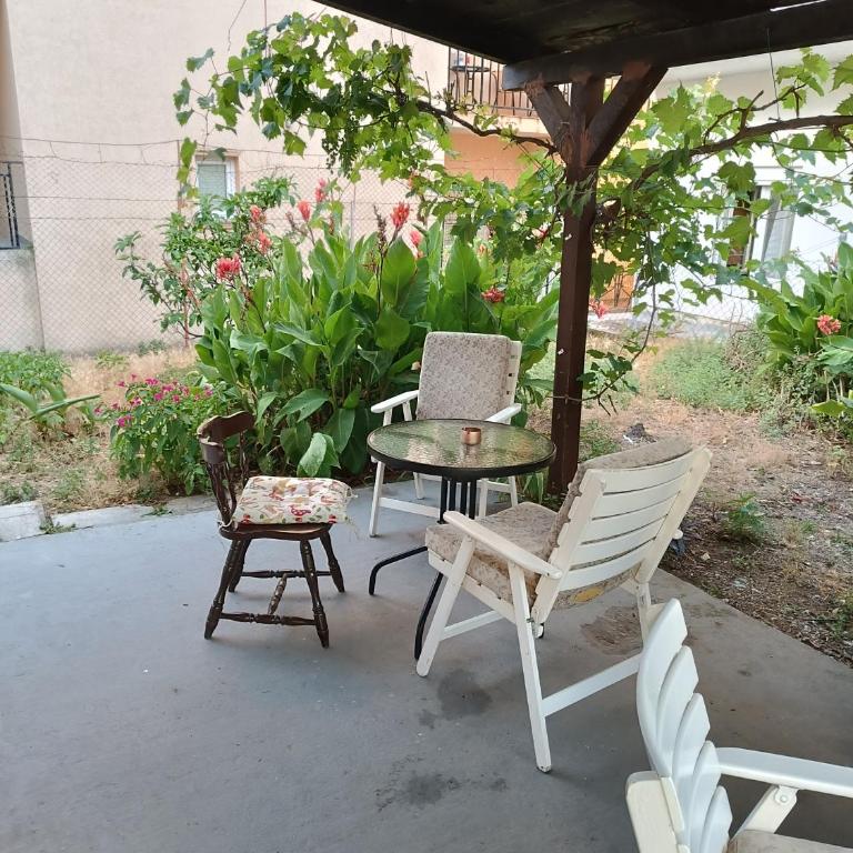 M6 olive tree studio - One-Bedroom Apartment - 4