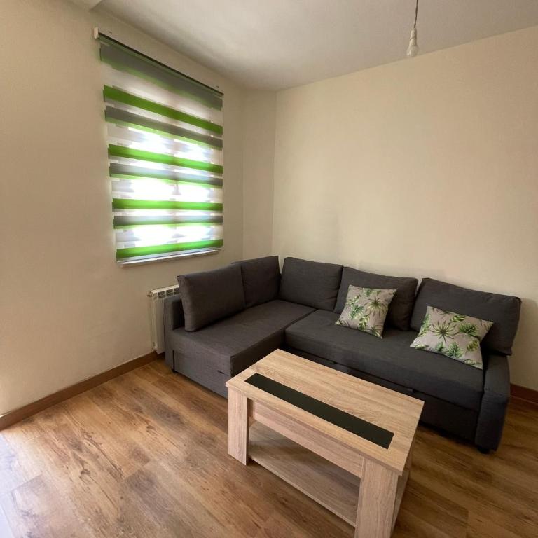 Apartamentos Turísticos -LEÓN ANTIGUO- - Apartamento de 1 dormitorio - 12