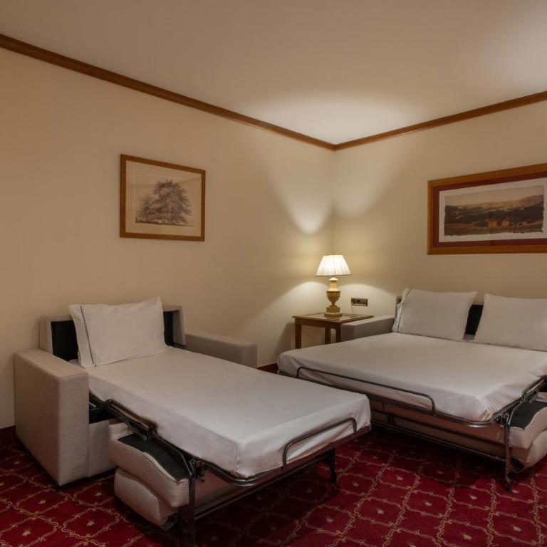 Eurostars Las Claras - Suite Junior - 5