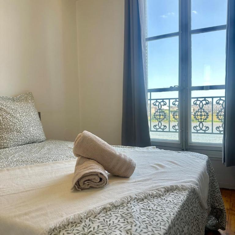 Les bords de Loire - En plein coeur de Blois - Apartment - 1