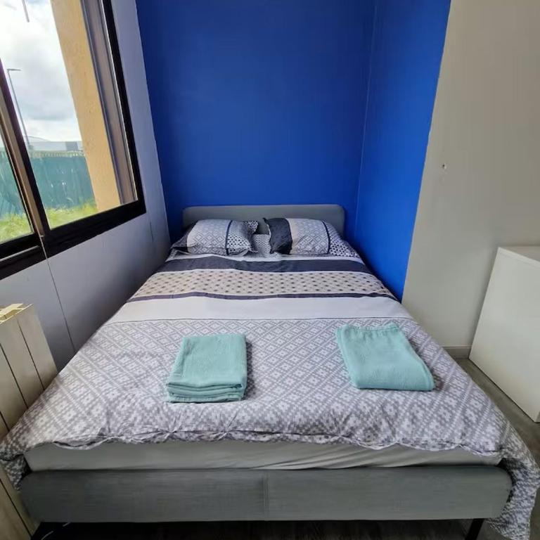 Chambre Privée dans appartement partagé BLEU - Chambre Double avec Salle de Bains Commune - 3
