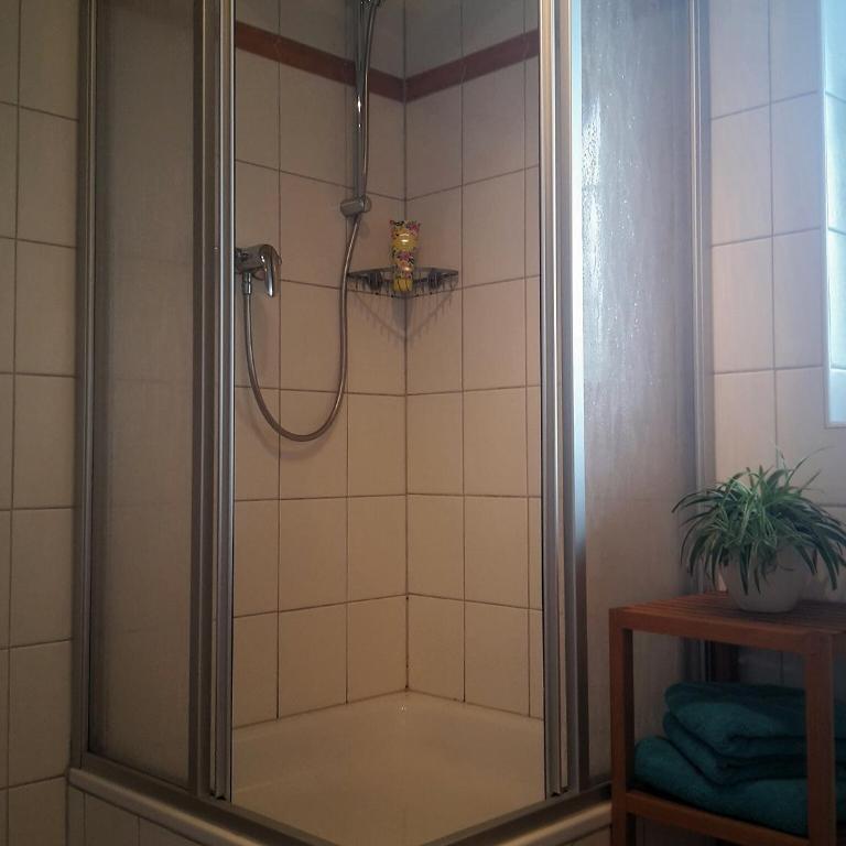 Ferienwohnung Höfler - Appartamento con Vista Montagna - 26