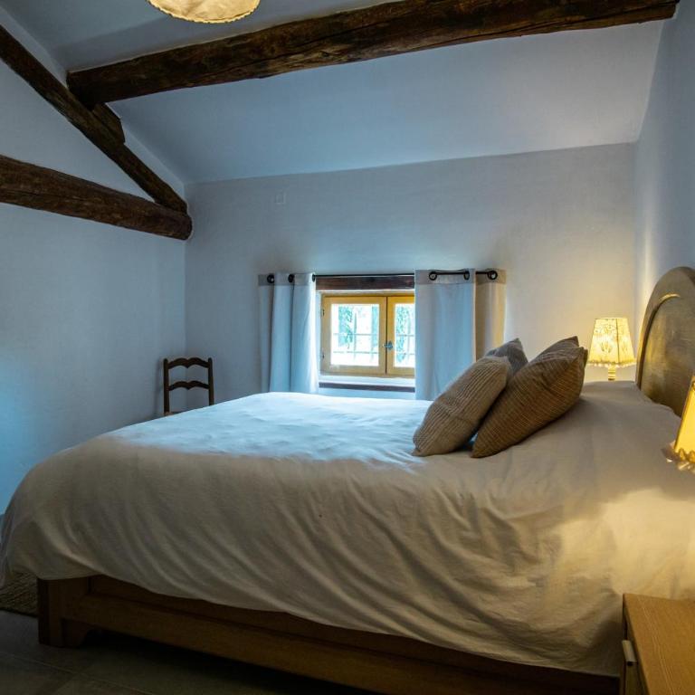 Mas Sylvie - Isle-sur-la-Sorgue - Maison de Vacances - 35