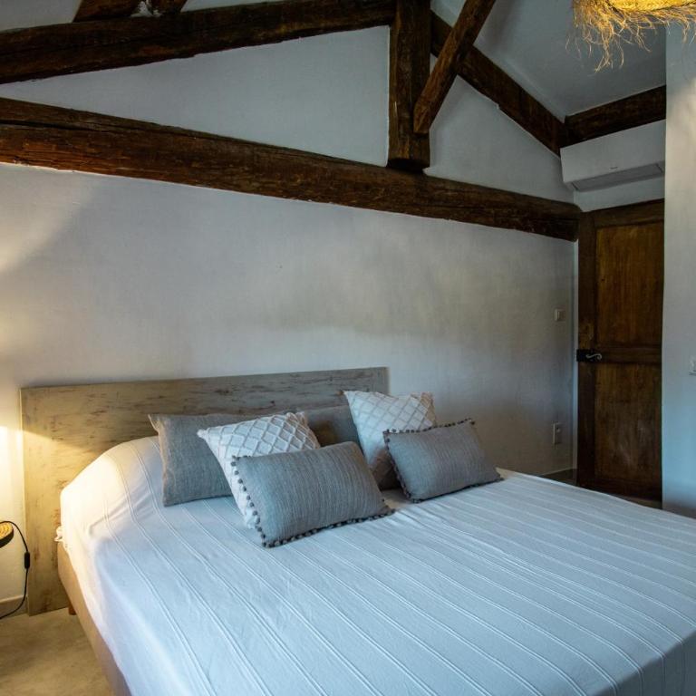 Mas Sylvie - Isle-sur-la-Sorgue - Maison de Vacances - 37