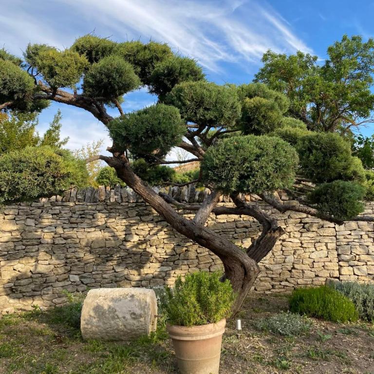 Mas Sylvie - Isle-sur-la-Sorgue - Maison de Vacances - 54