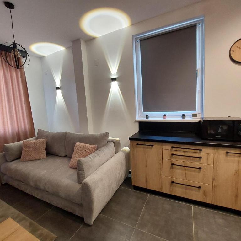 Apartman Šišarka Dva Divčibare - Apartman sa 1 Spavaćom Sobom - 12