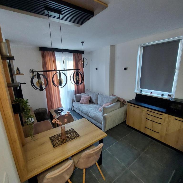 Apartman Šišarka Dva Divčibare - Apartman sa 1 Spavaćom Sobom - 19