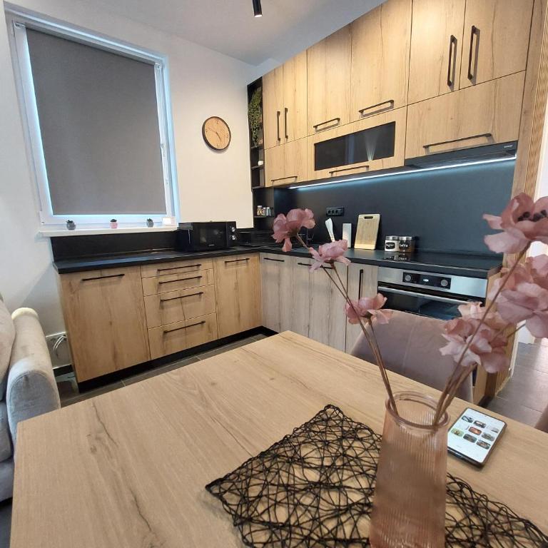 Apartman Šišarka Dva Divčibare - Apartman sa 1 Spavaćom Sobom - 25