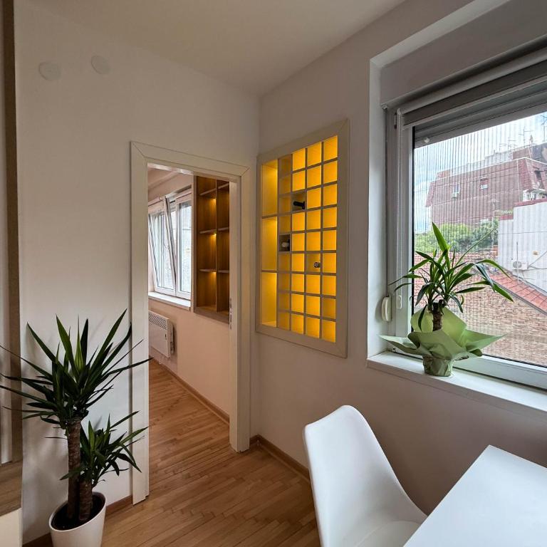 Dorcol Charm - Apartman sa 1 Spavaćom Sobom - 4