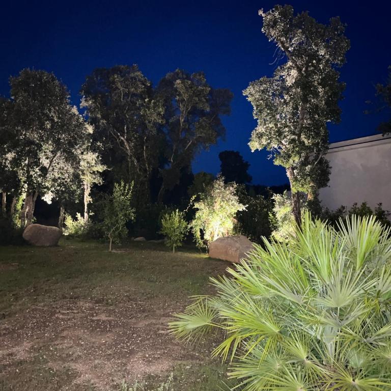 A Cupulata - Villa - 28