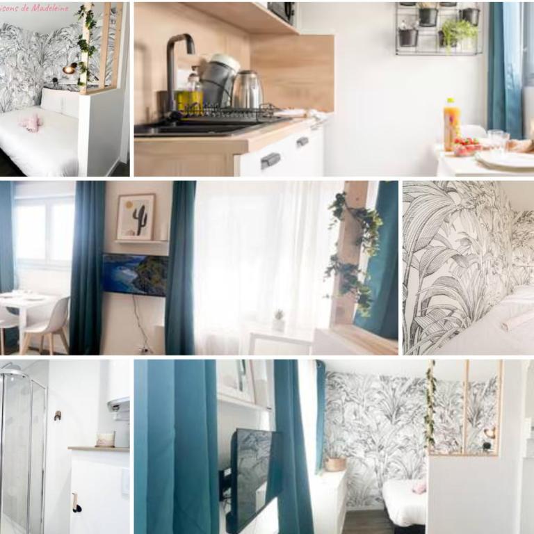 Les studios de l'Albatros - Appartement 1 Chambre - 2