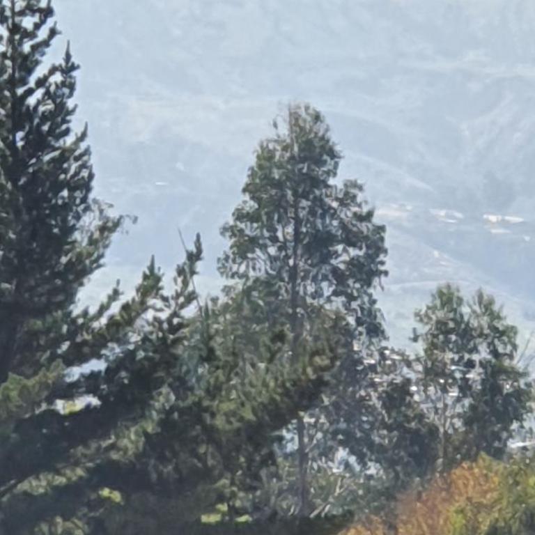 Torre Europa - Two-Bedroom Apartment - 15