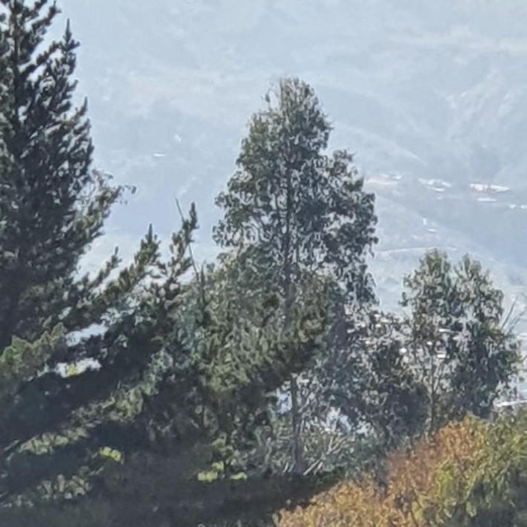 Torre Europa - Two-Bedroom Apartment - 17