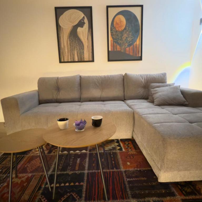 Apartment Modesty - Apartman sa 1 Spavaćom Sobom - 3