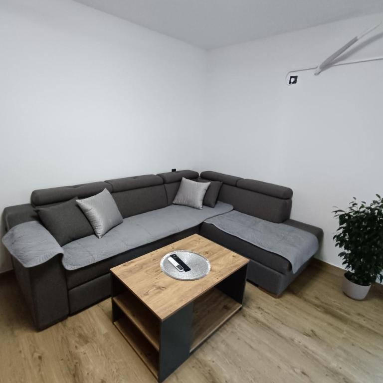 ApartmaniMD apartman 5 uzivanje na pravom mjestu - Apartman sa 1 Spavaćom Sobom - 6