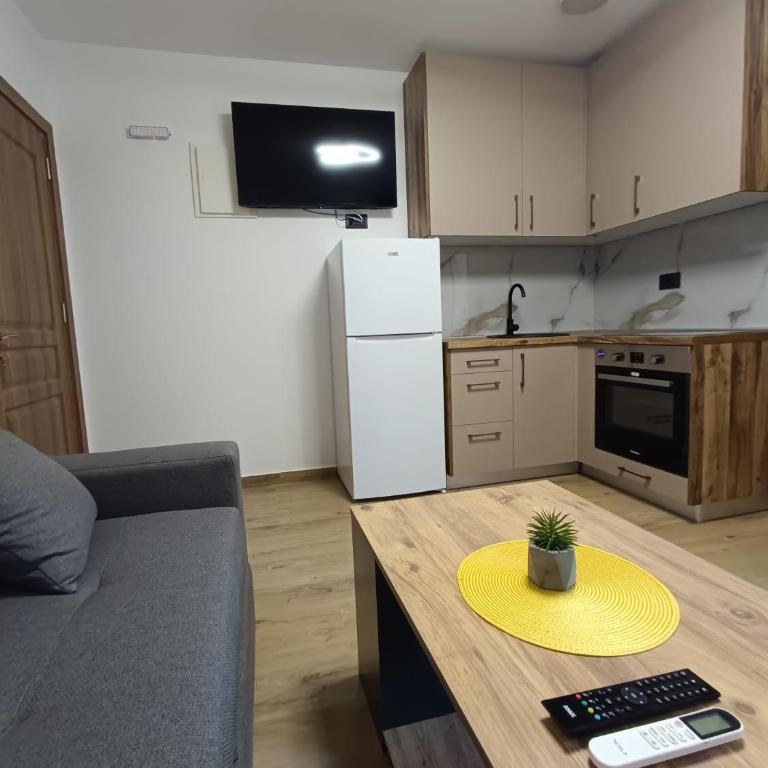 ApartmentsMD apartman 6 najlepse sto zivot pruza - Apartman sa 1 Spavaćom Sobom - 2