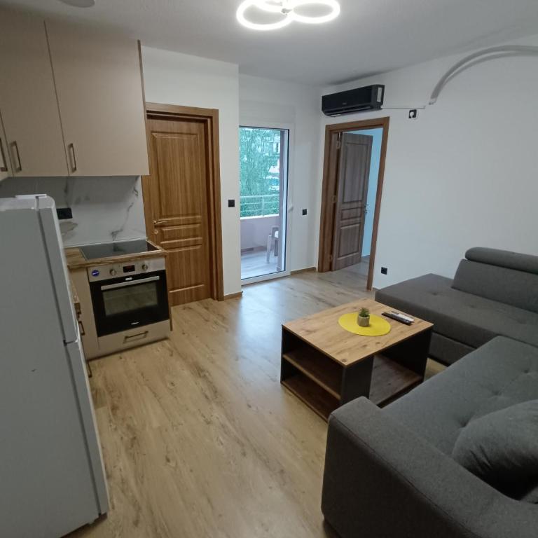 ApartmentsMD apartman 6 najlepse sto zivot pruza - Apartman sa 1 Spavaćom Sobom - 6