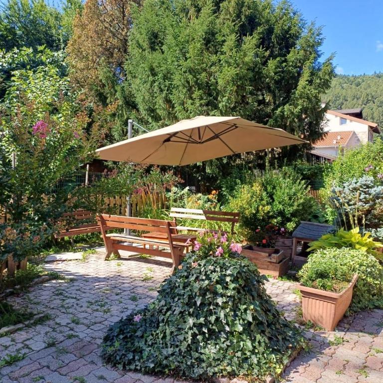 Bambù - Appartamento Familiare con 2 Camere da Letto e Vista - 3