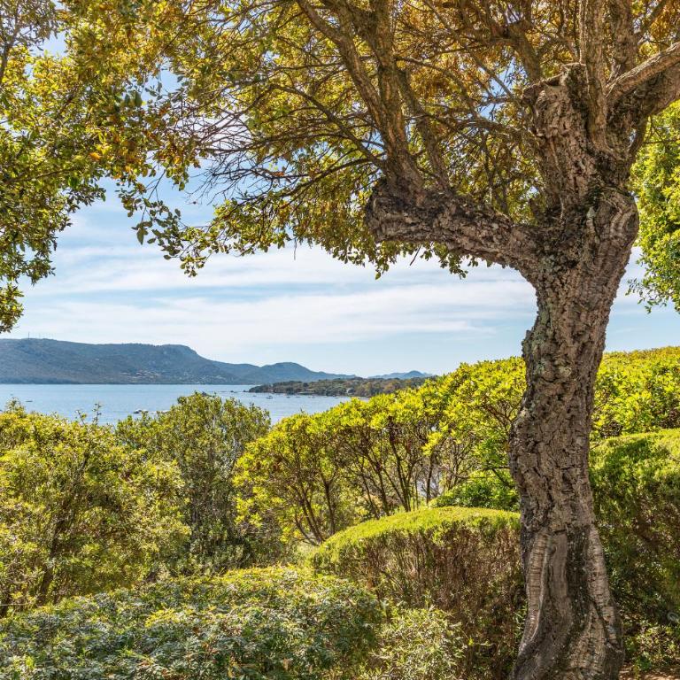 Villa A signoria - Villa Fronte Spiaggia - 22