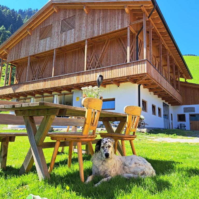 Appartements Bacher Hof - Appartamento con 1 Camera da Letto - 17