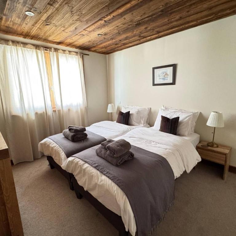 Beautiful chalet with panoramic views in Samoens walking distance to the village - Chalet - 20