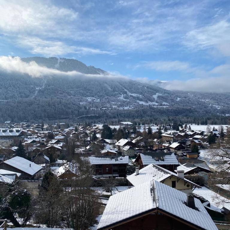 Beautiful chalet with panoramic views in Samoens walking distance to the village - Chalet - 31