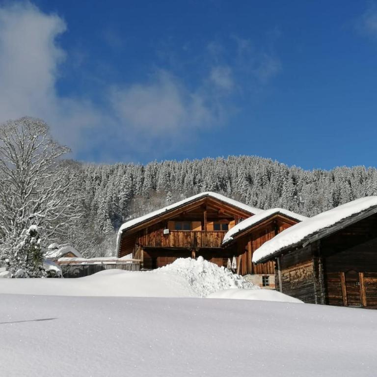 Chalet at the foot of the Nordic domain - Chalet - 15