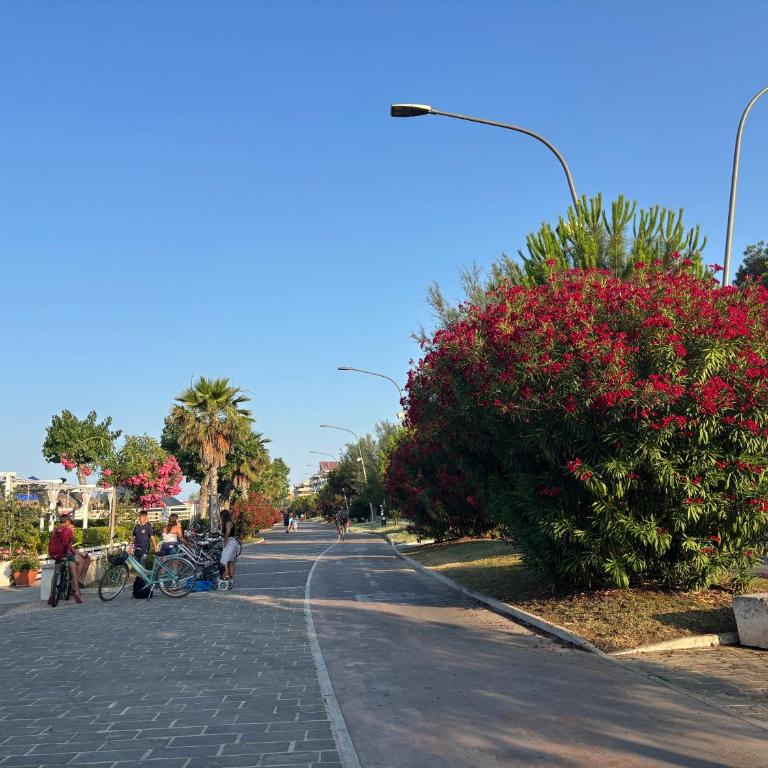Casa Ploy - Bright and modern, between the beach and the city center - Two-Bedroom Apartment - 33
