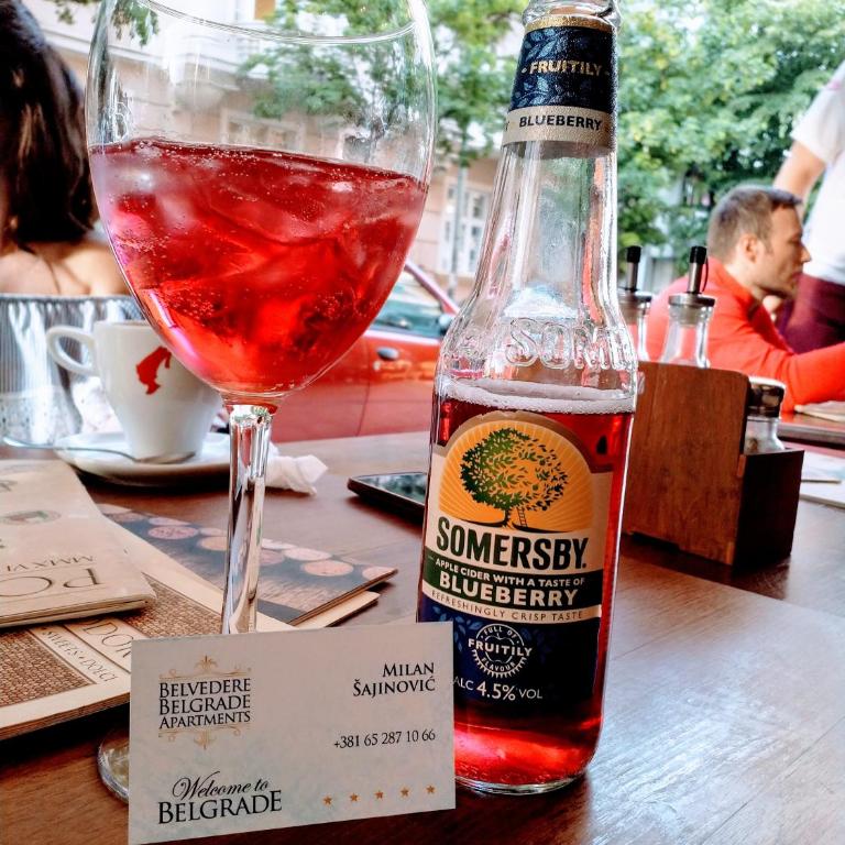 Belgrade Skadarlija Apartment - City center - Apartman sa 1 Spavaćom Sobom - 3