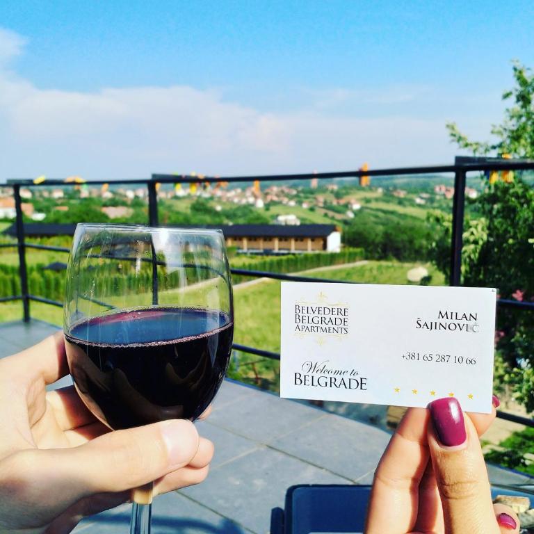 Belvedere Skadarska Apartment - Apartman sa 1 Spavaćom Sobom - 14