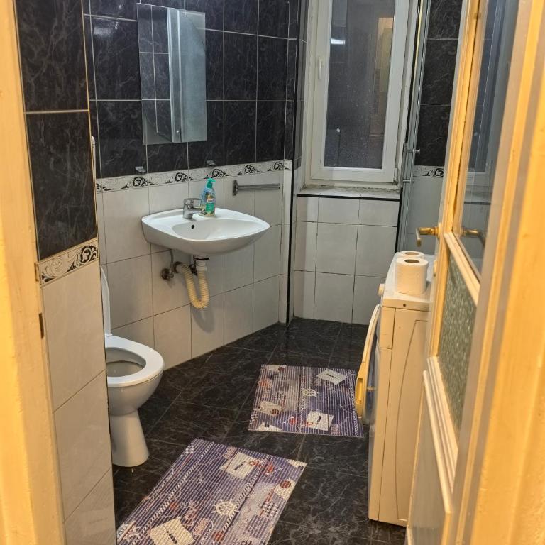 Belgrade Skadarlija Apartment - City center - Apartman sa 1 Spavaćom Sobom - 6