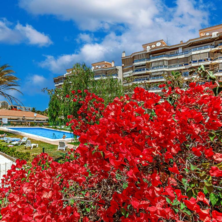Tenerifeopenhome comfortable family apartment - Apartamento de 3 dormitorios - 3