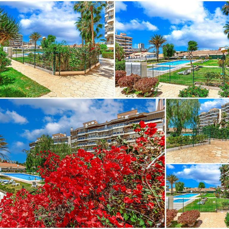 Tenerifeopenhome comfortable family apartment - Apartamento de 3 dormitorios - 71