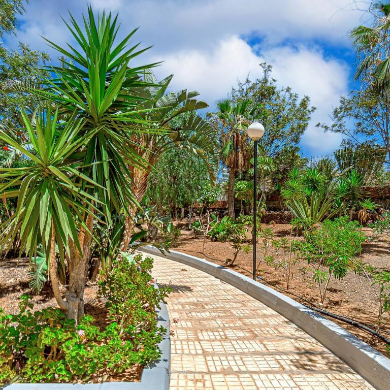 Tenerifeopenhome comfortable family apartment - Apartamento de 3 dormitorios - 66